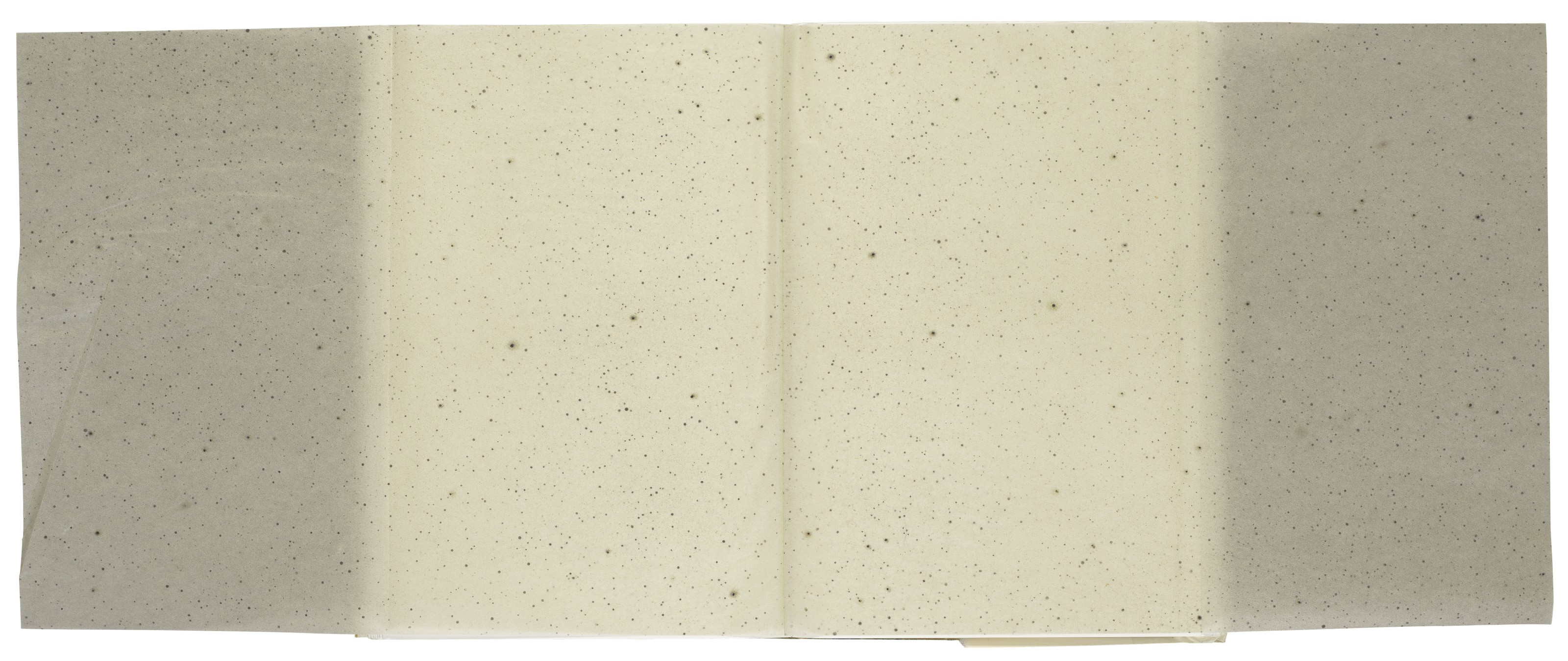 Vija Celmins — Звезды, изображение 2