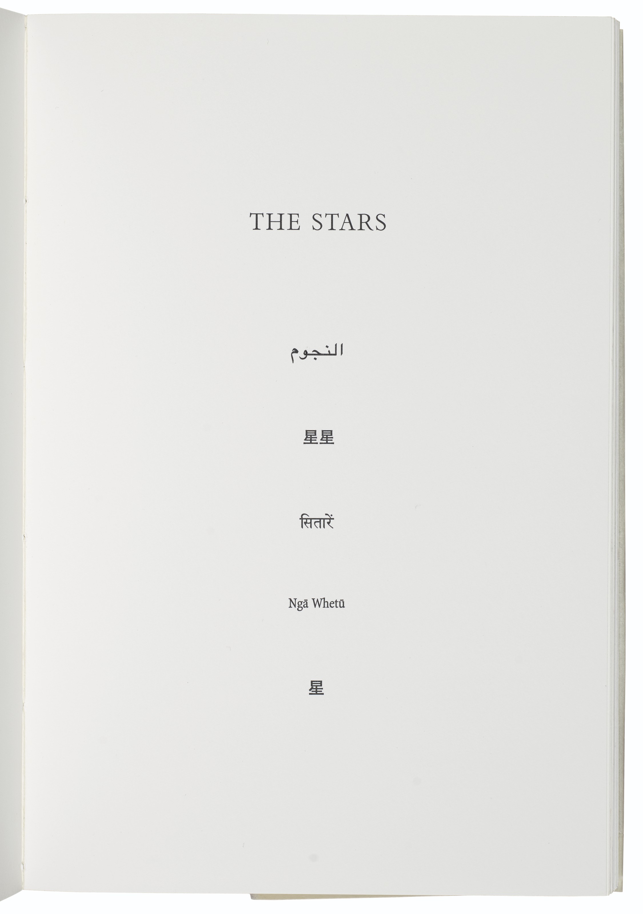 Vija Celmins — Звезды, изображение 3