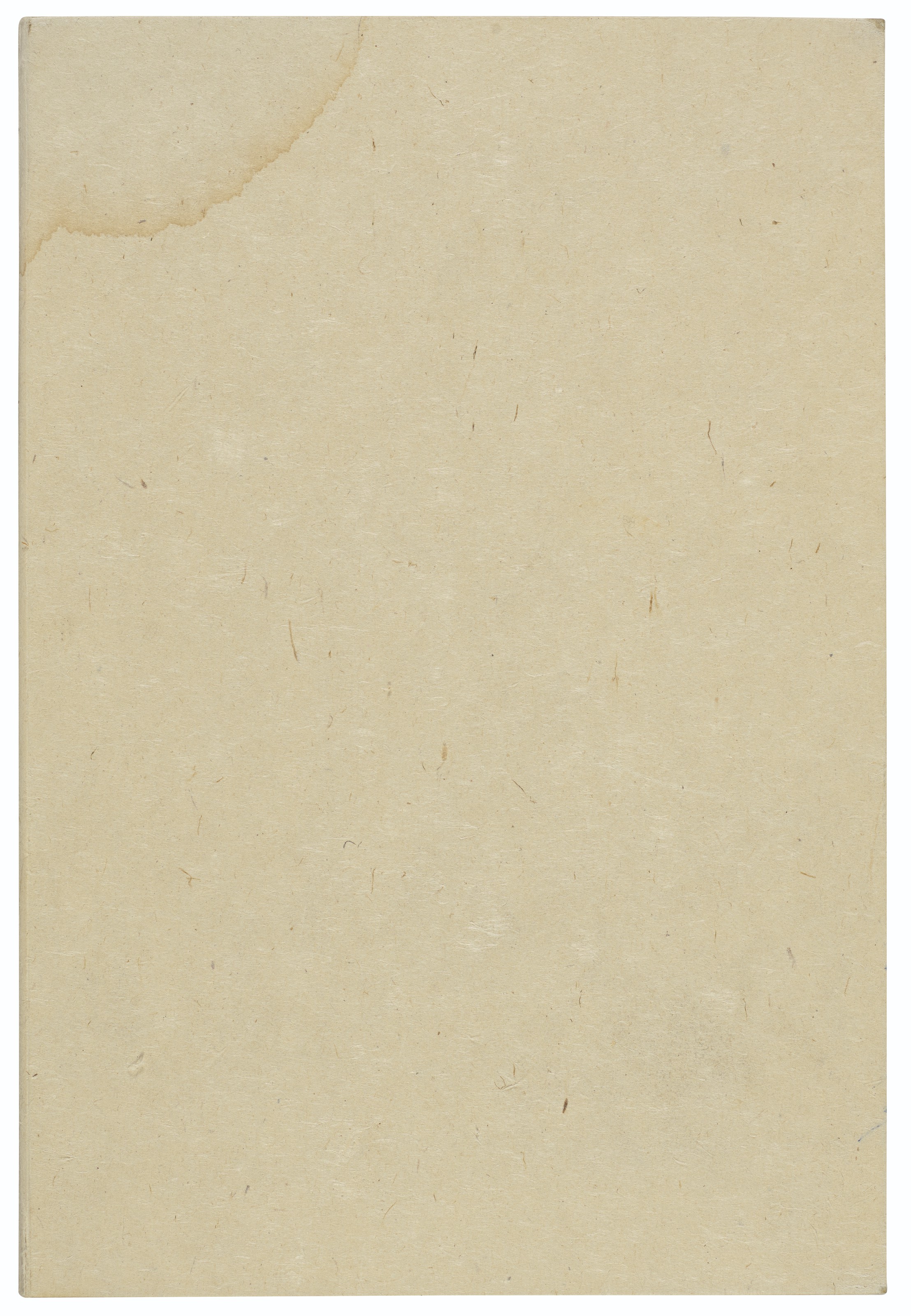 Vija Celmins — Звезды, изображение 7