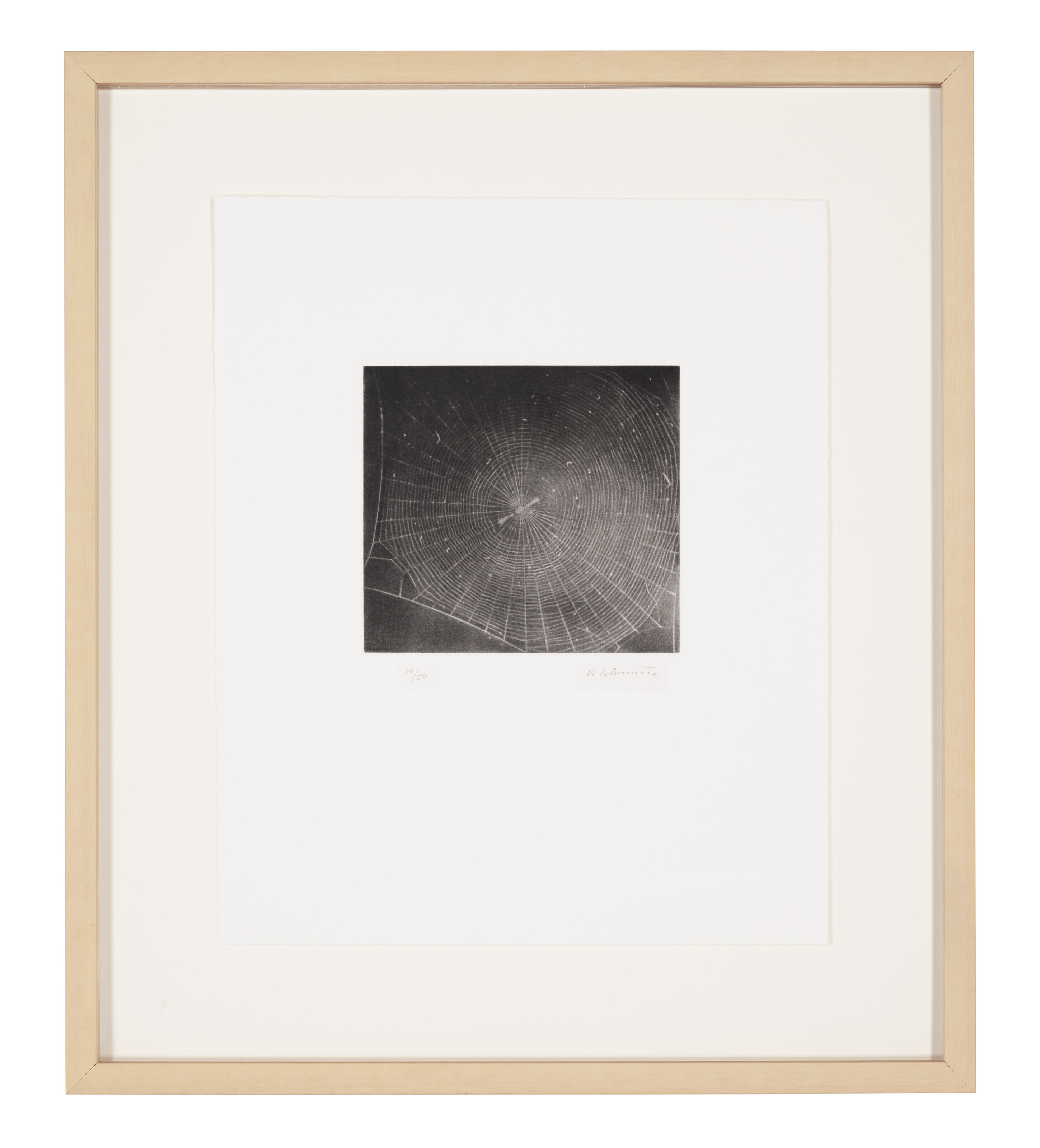 Vija Celmins — Без названия (Web 2), изображение 2