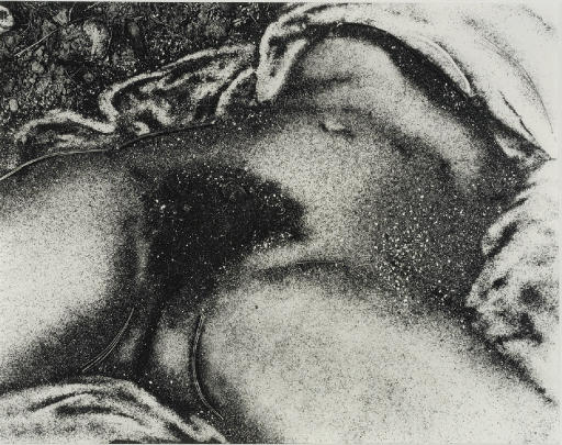 Vik Muniz — Происхождение мира по Курбе (по изображениям почвы)