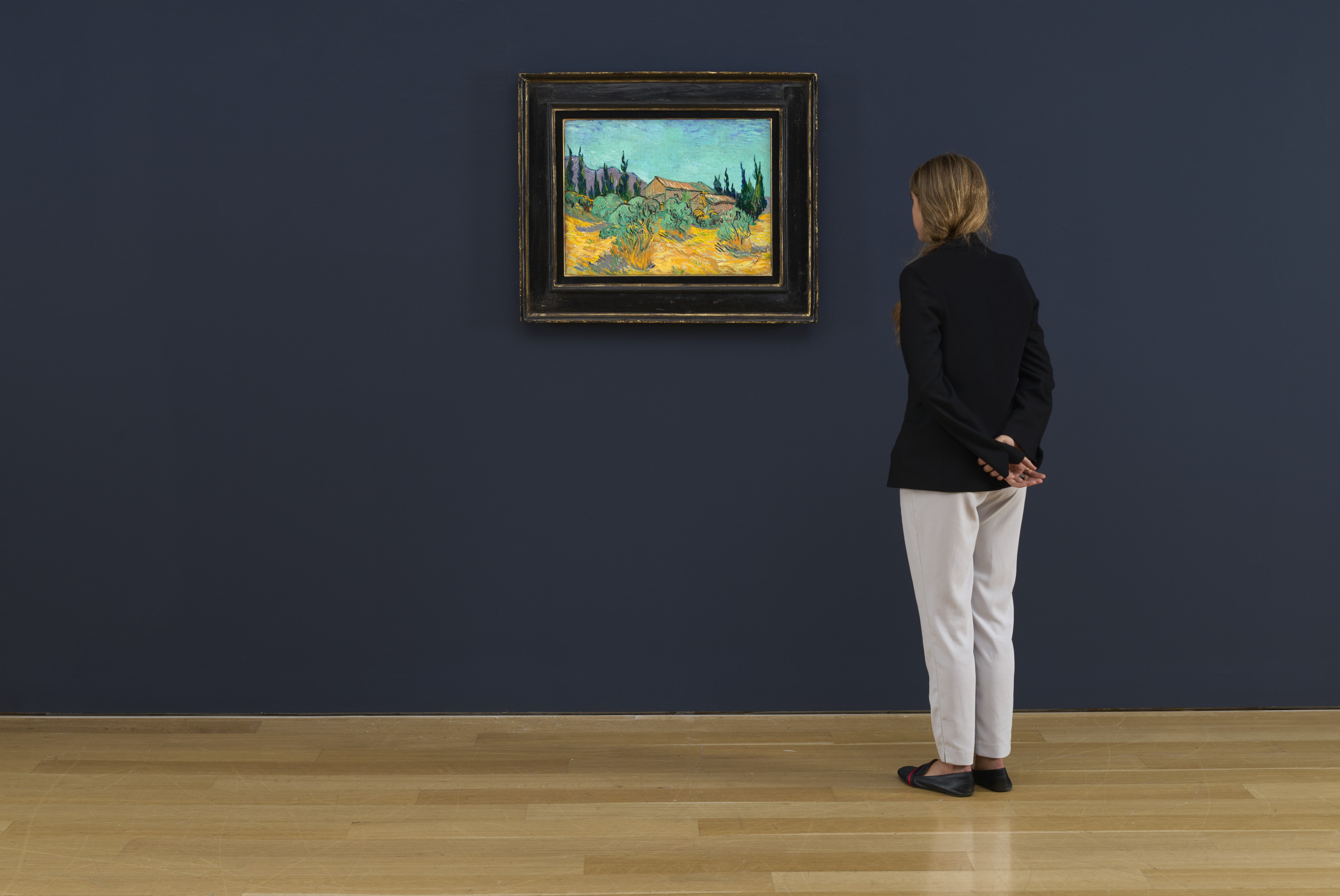 Vincent van Gogh — Домик в буа-парми-ле-оливье и на Кипре, изображение 3