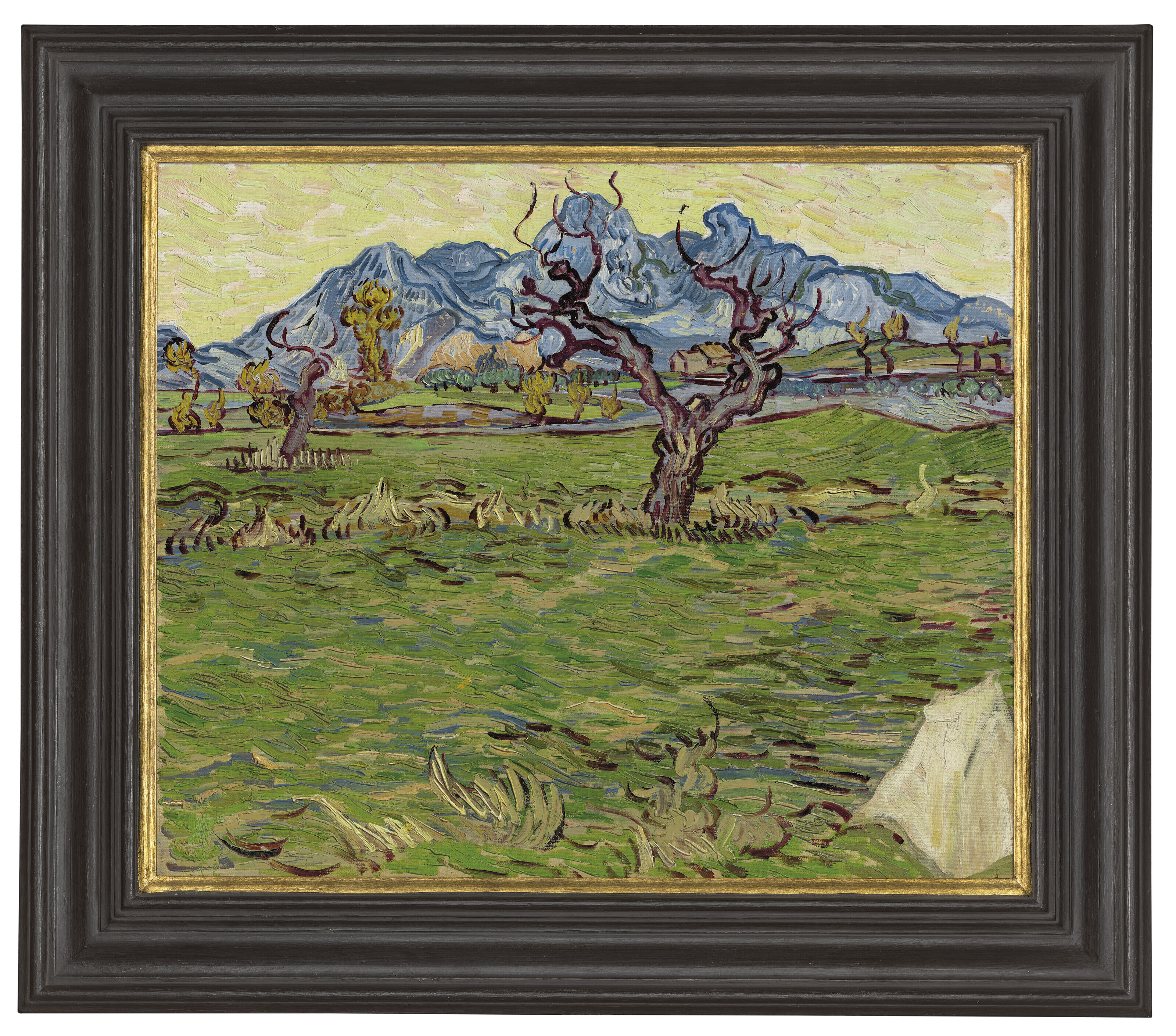 Vincent van Gogh — Альпийские поля, изображение 2