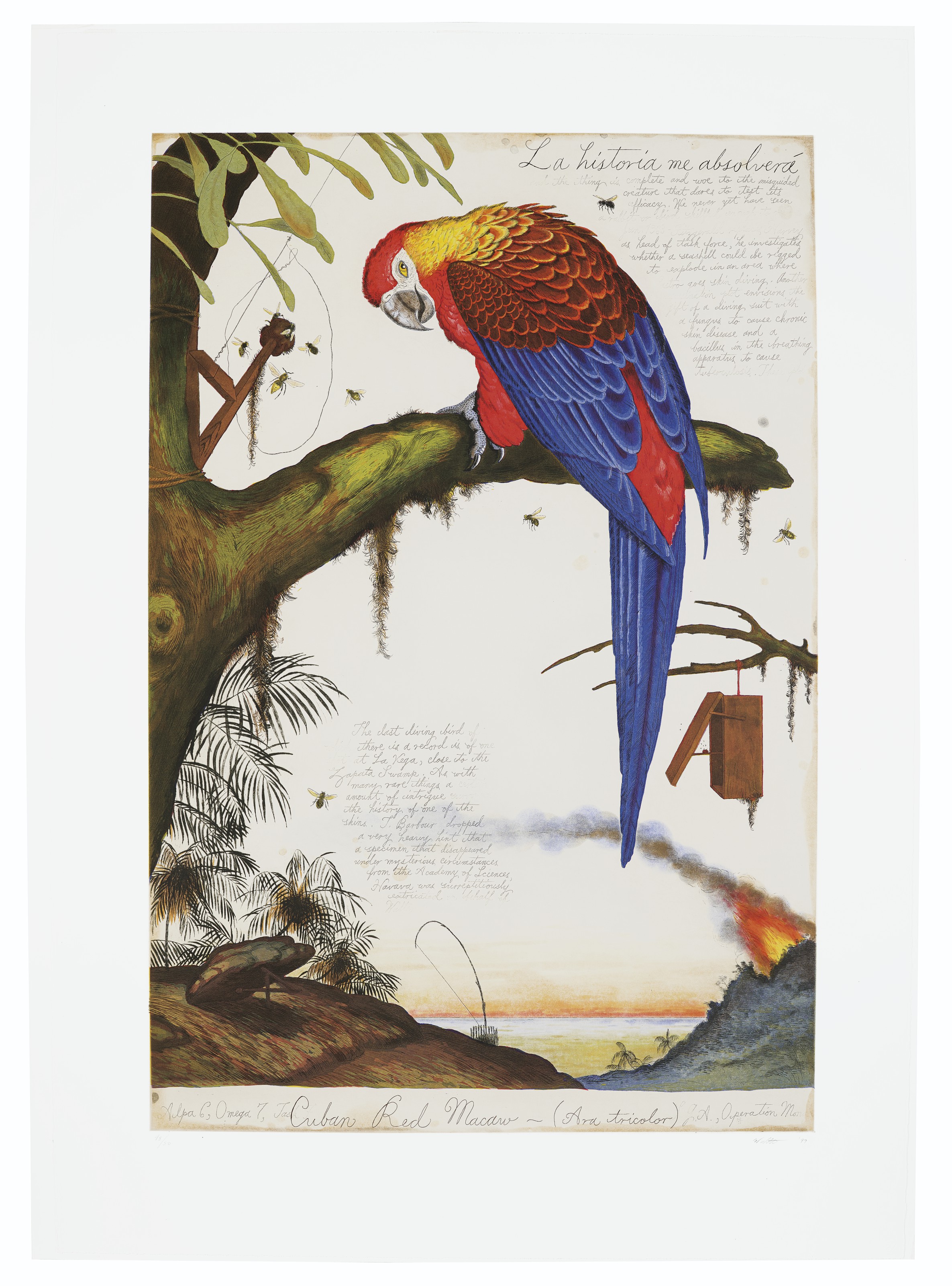 Walton Ford — "Свадьба", 1998; "История моего освобождения", 1999; "Эмблема Бенджамина", 2000; "Сказка о Джонни Наткине", 2001; "Скомпрометированный", 2003; и "Визит", 2004, изображение 3