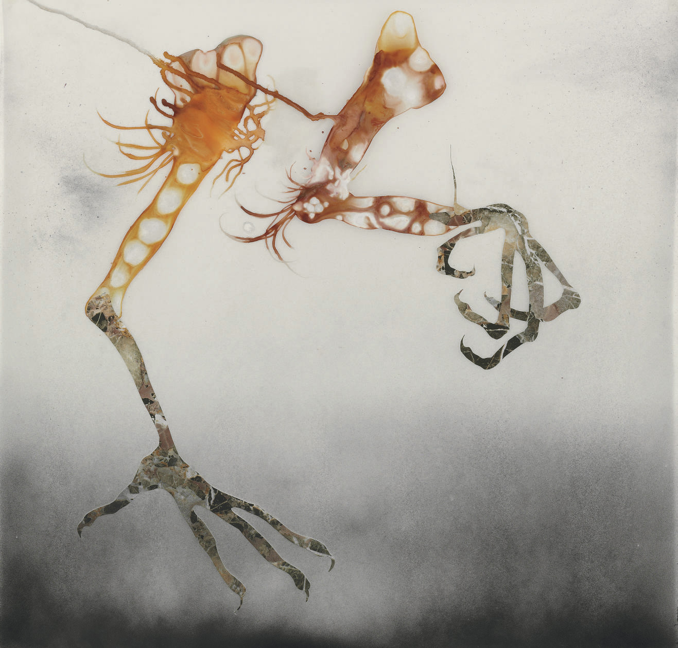 Wangechi Mutu — Без названия