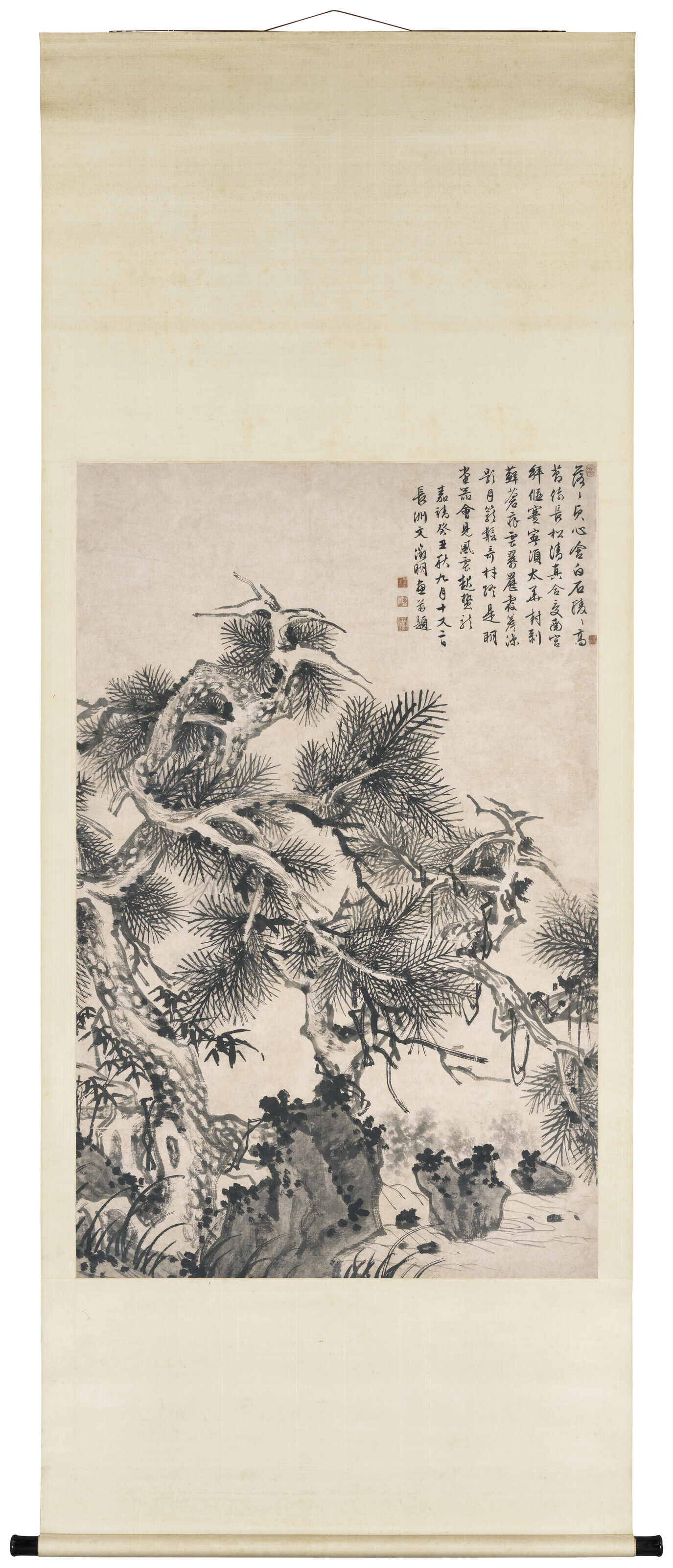 Wen Zhengming — Чернильная сосна, изображение 2
