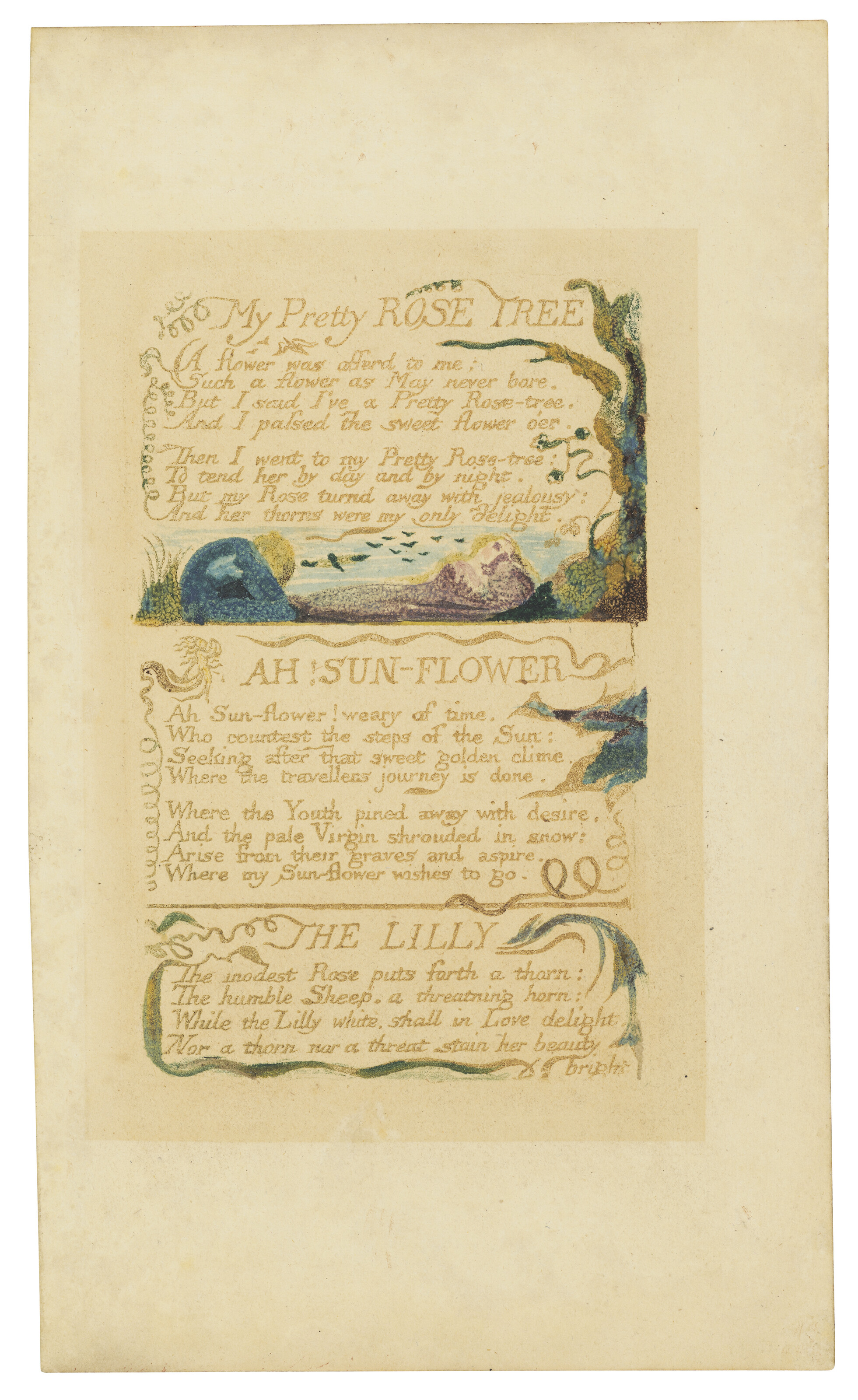 William Blake — Моя прелестная РОЗА, АХ, СОЛНЕЧНЫЙ ЦВЕТОК, ЛИЛИЯ, из "Песен опыта", изображение 2