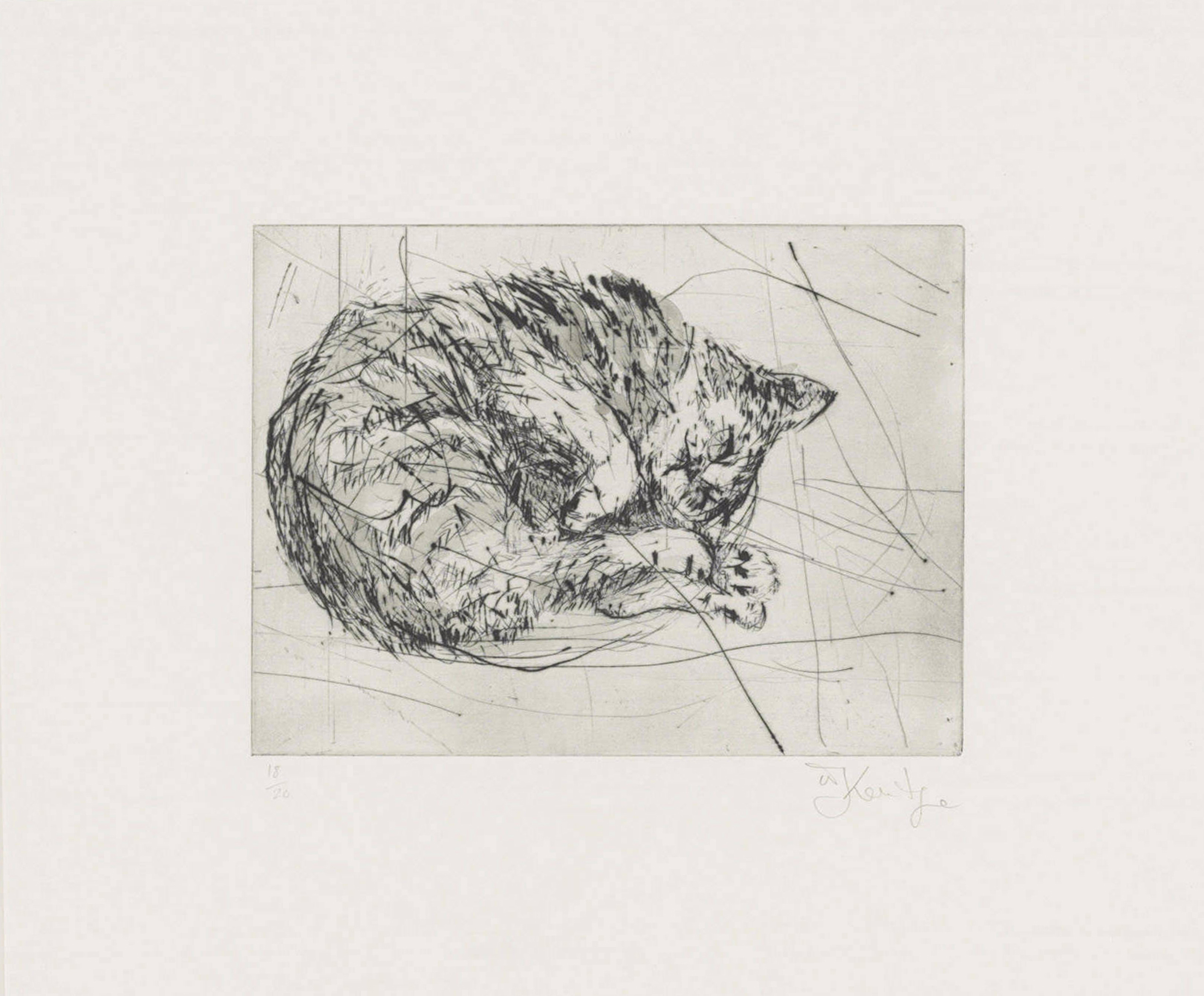 William Kentridge — Кошка