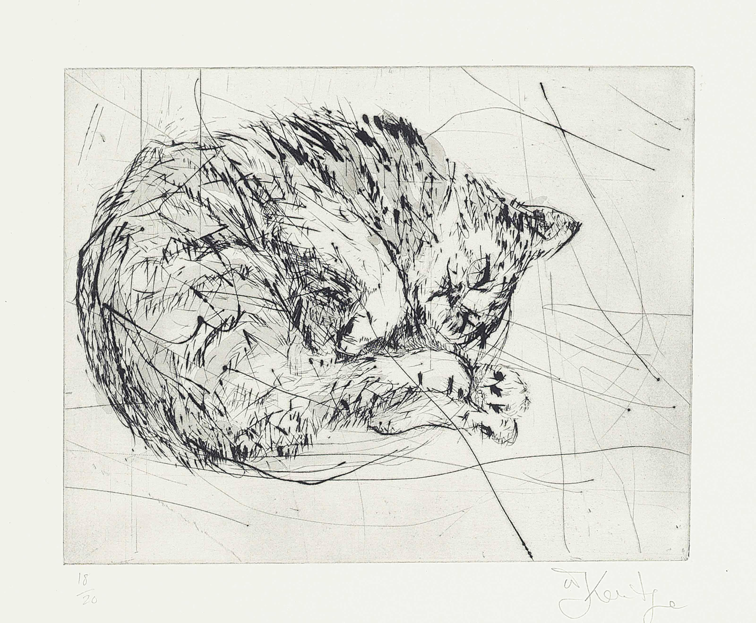 William Kentridge — Кошка