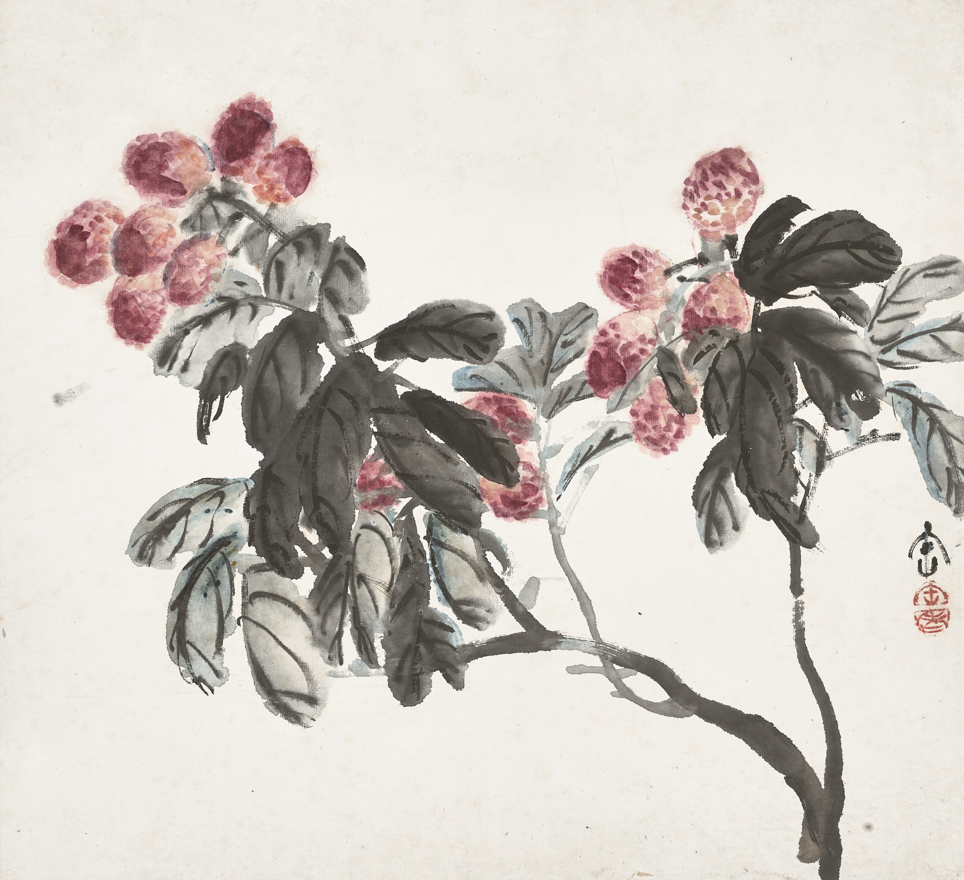 Wu Changshuo — Капуста и книги / Восковая ягода, изображение 3
