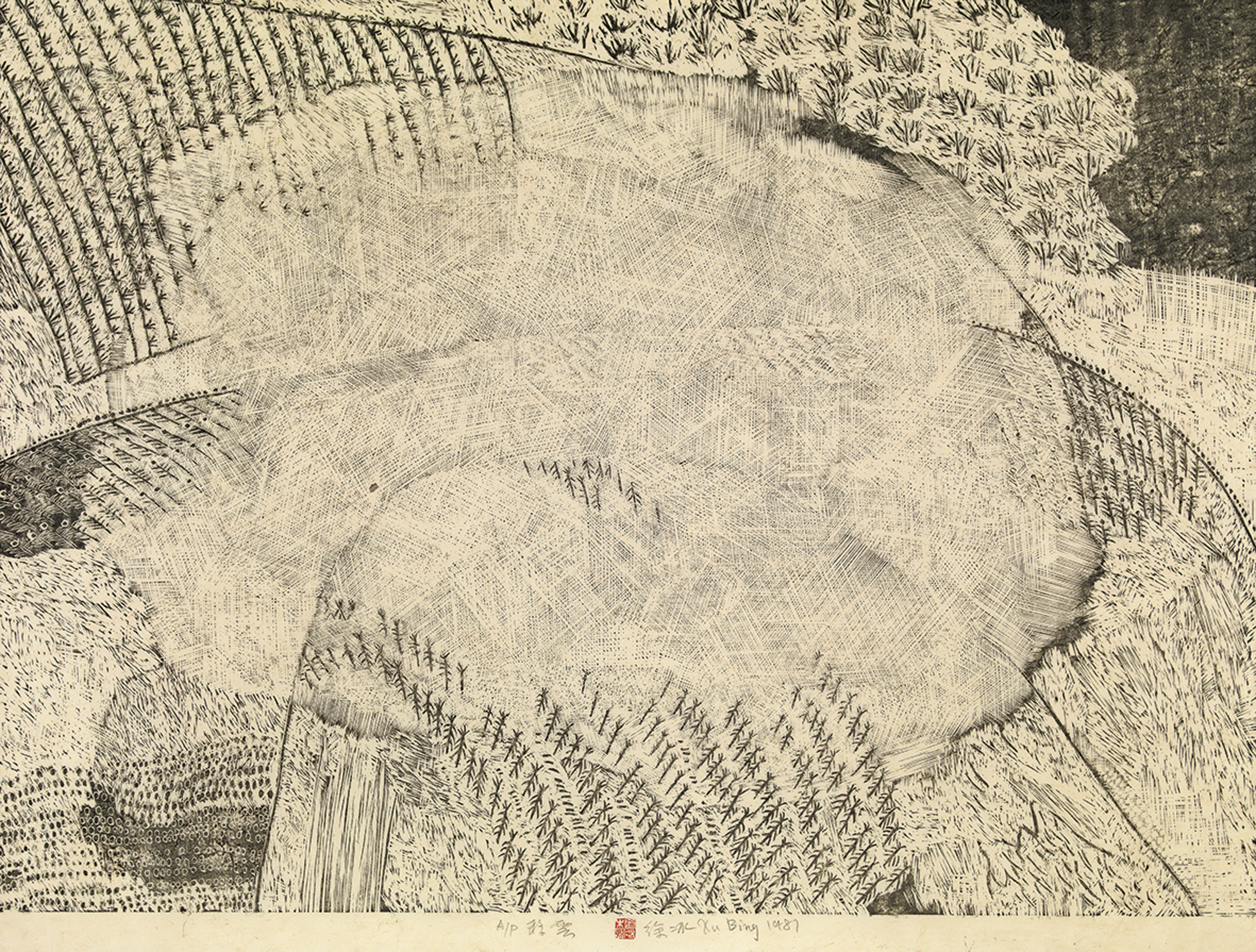Xu Bing — Соломенное поле