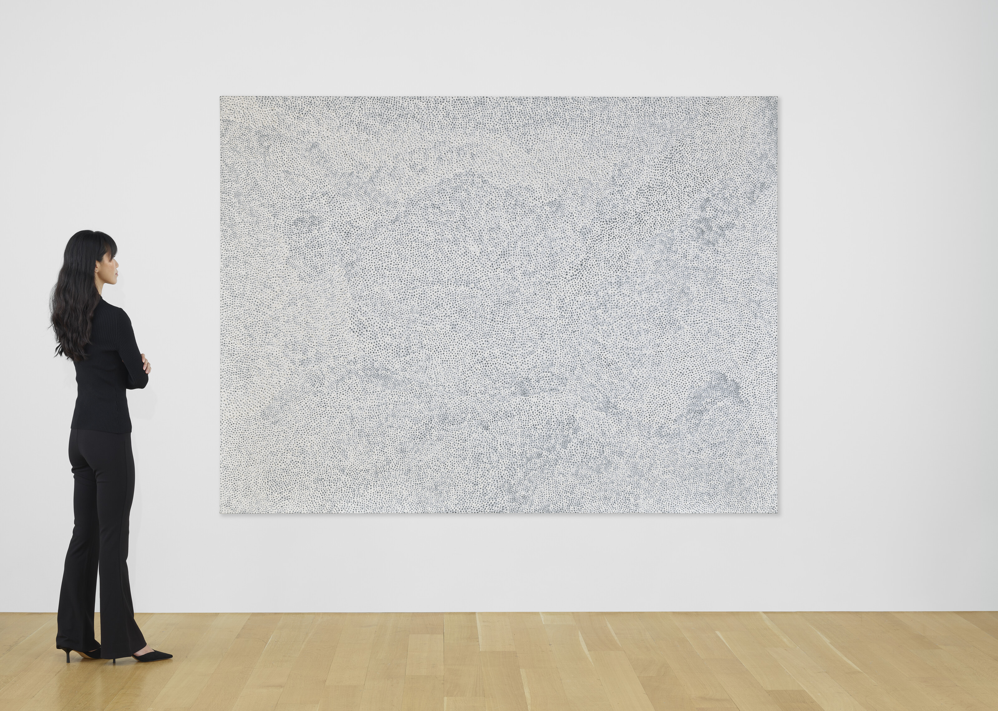 Yayoi Kusama — Инфинити-сети [HSO], изображение 3