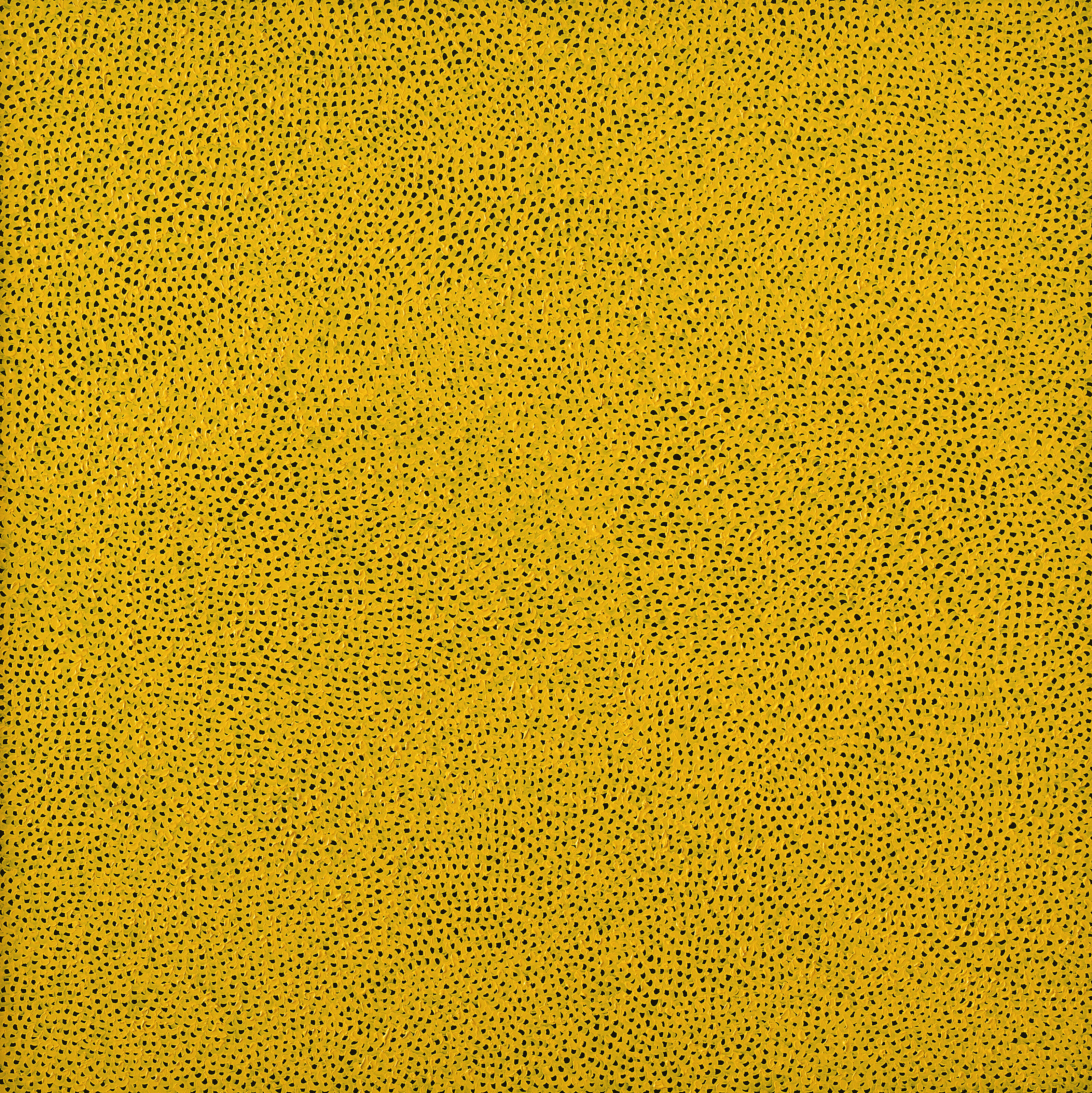 Yayoi Kusama — ИНФИНИТИ-СЕТИ (BAJO), изображение 1