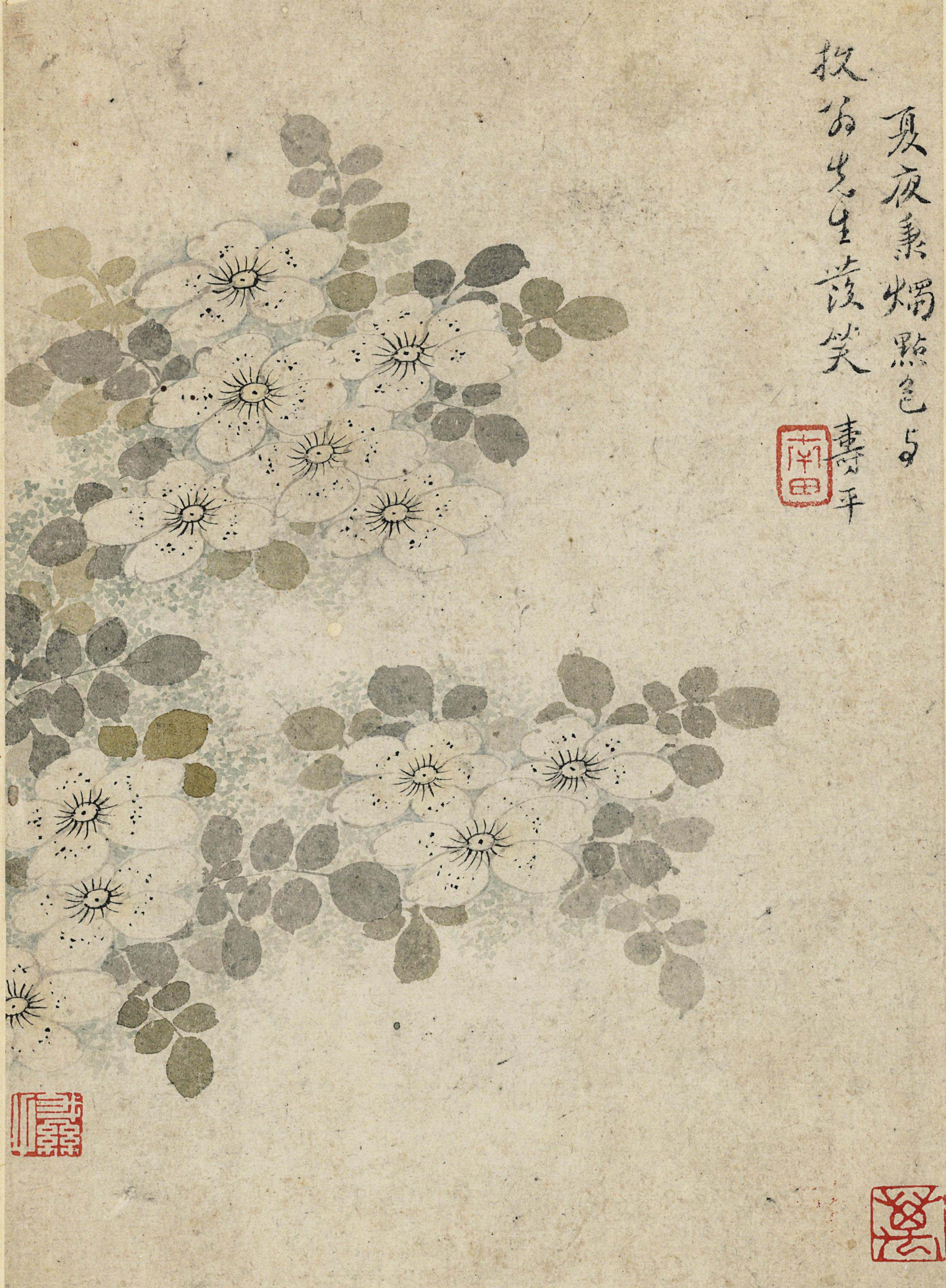 Yun Shouping — цветы