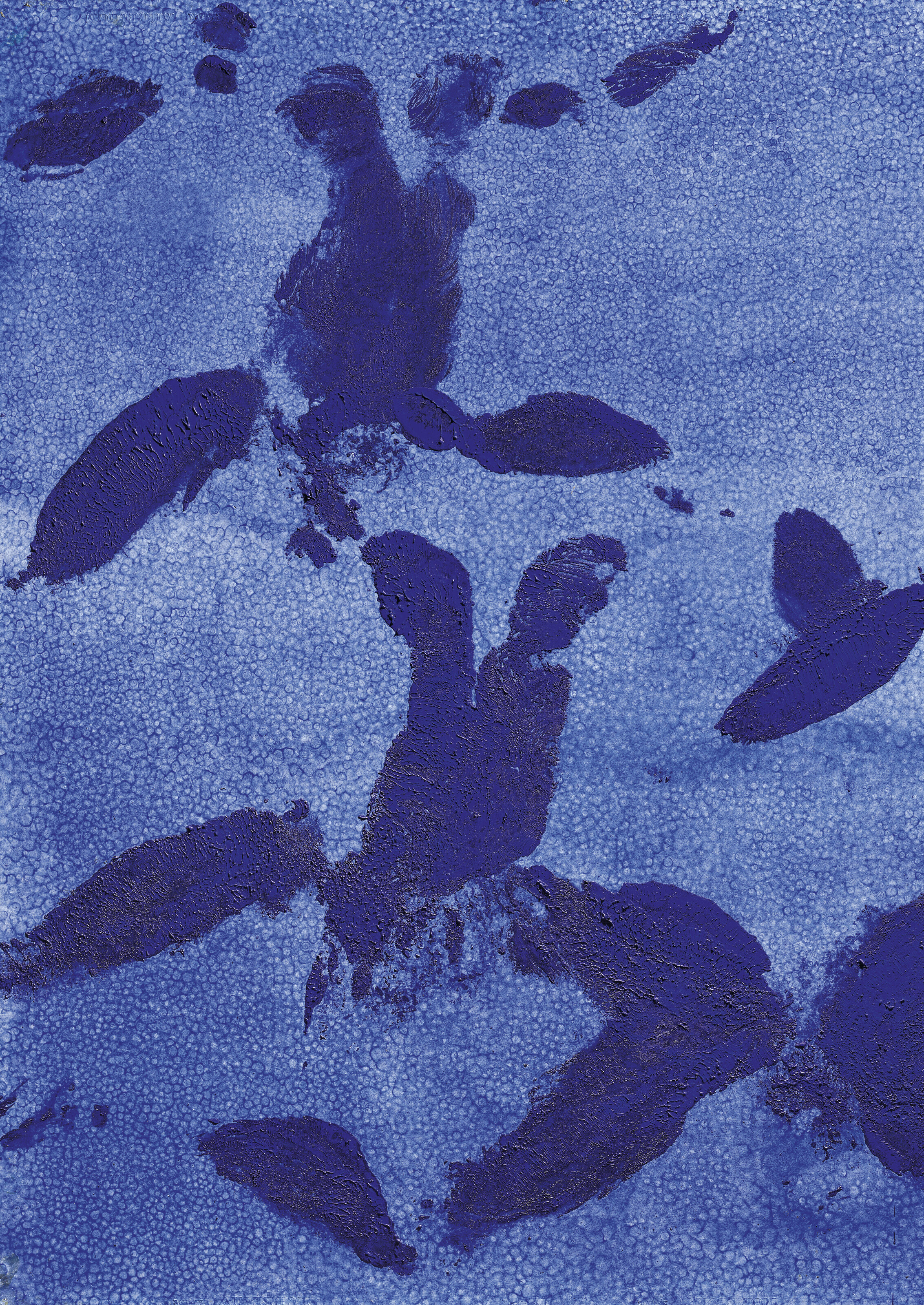 Yves Klein — Антропометрия голубой эпохи, (ANT 124) (Антропометрия голубого периода), (ANT 124)), изображение 4