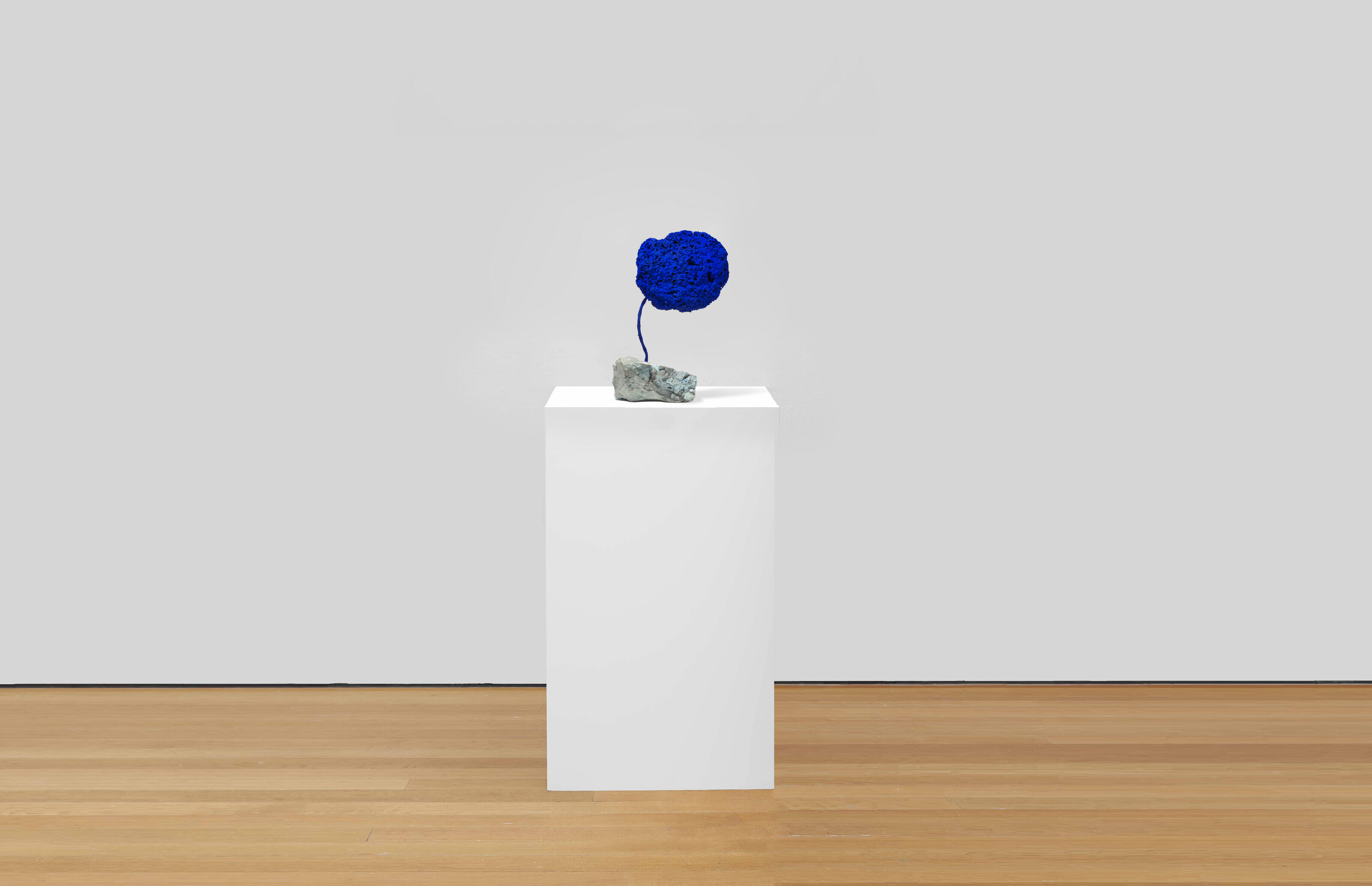 Yves Klein — Скульптура "синий цветок без названия" (SE 328), изображение 3