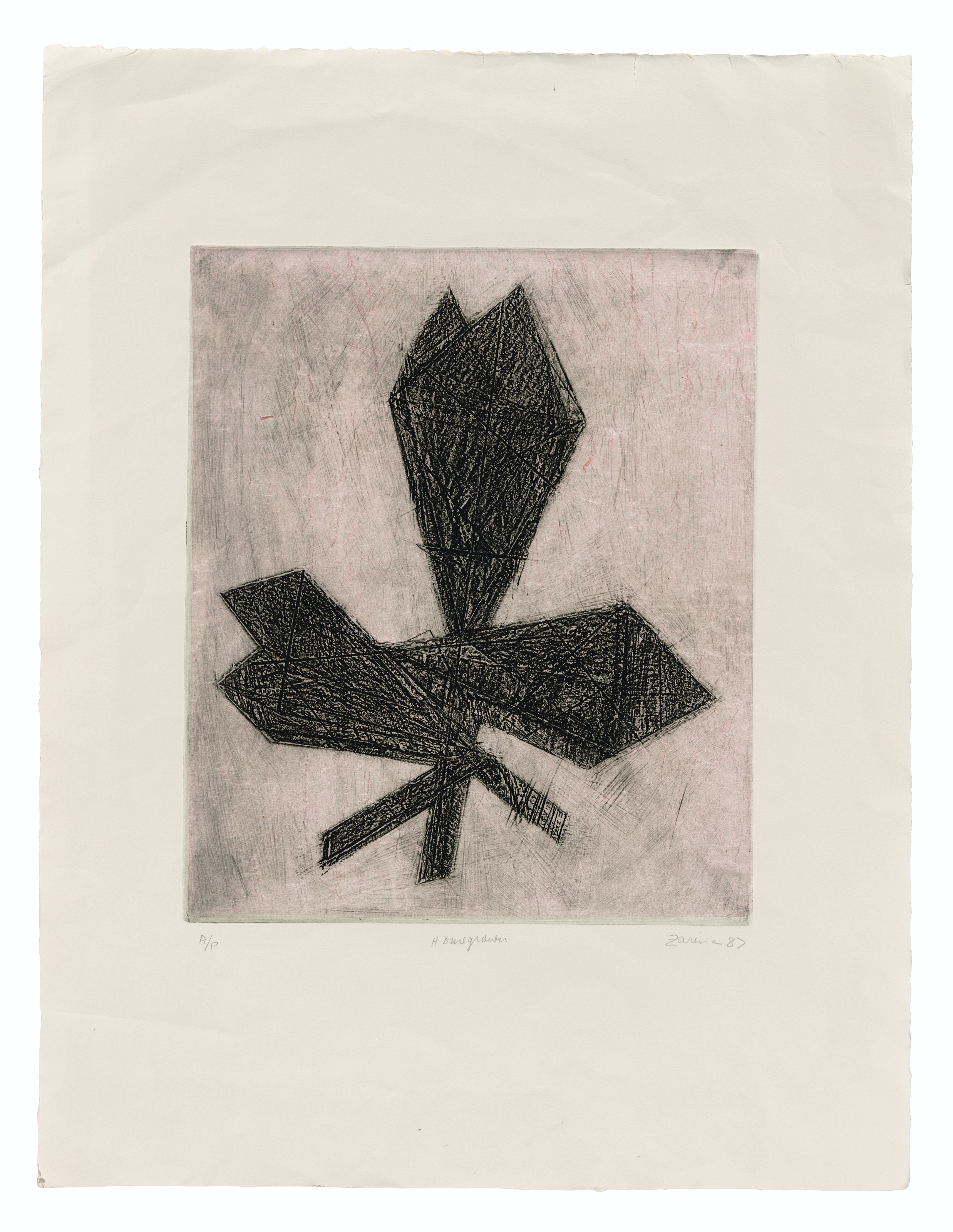 Zarina Hashmi — Шибли-роуд, 8; Доморощенный; Сад Рани, изображение 3