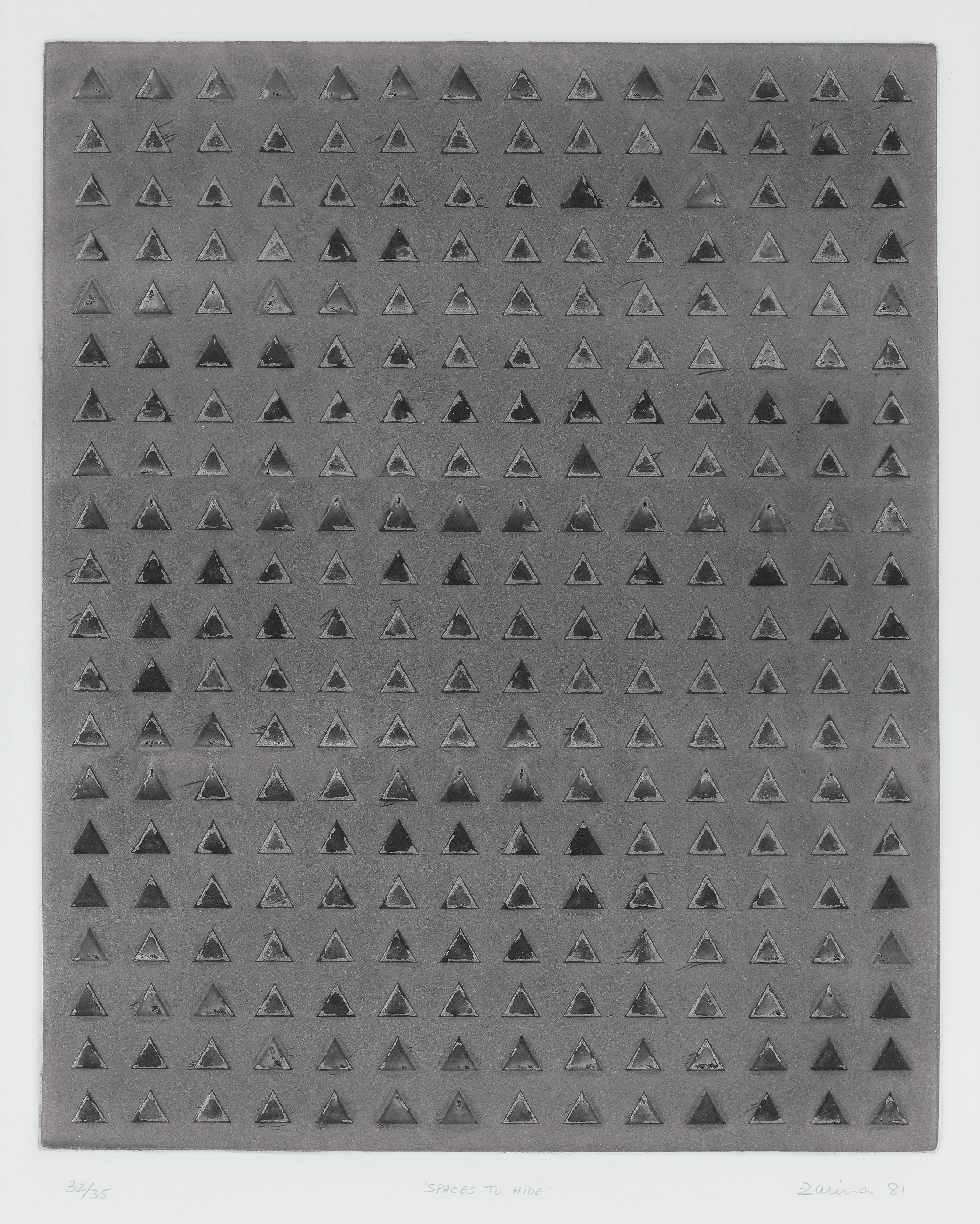 Zarina Hashmi — Места, которые нужно скрыть