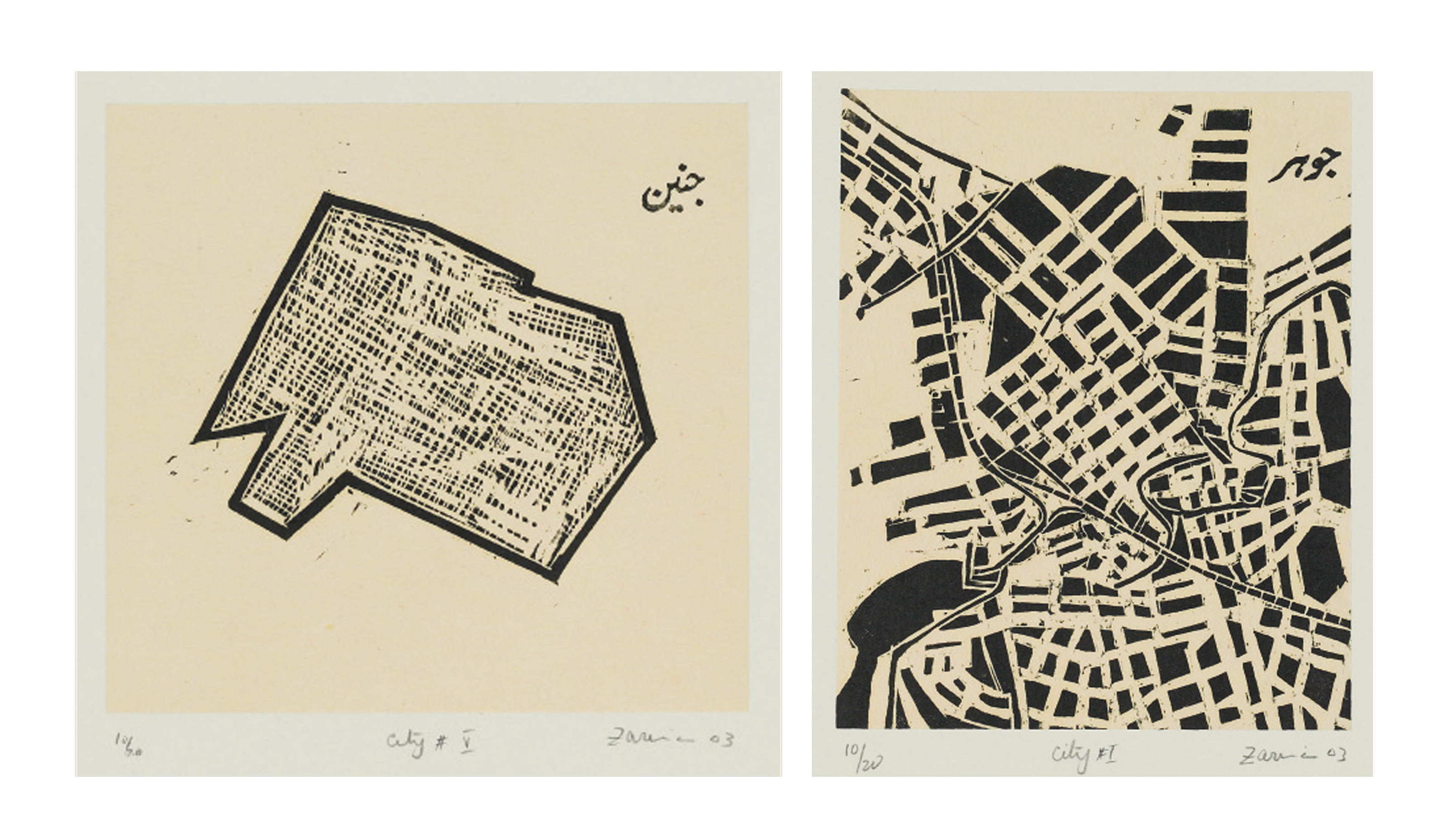 Zarina Hashmi — Дженин; Грозный (из портфолио "Эти города превратились в пустыню" (Эдриен Рич после "Галиба"))