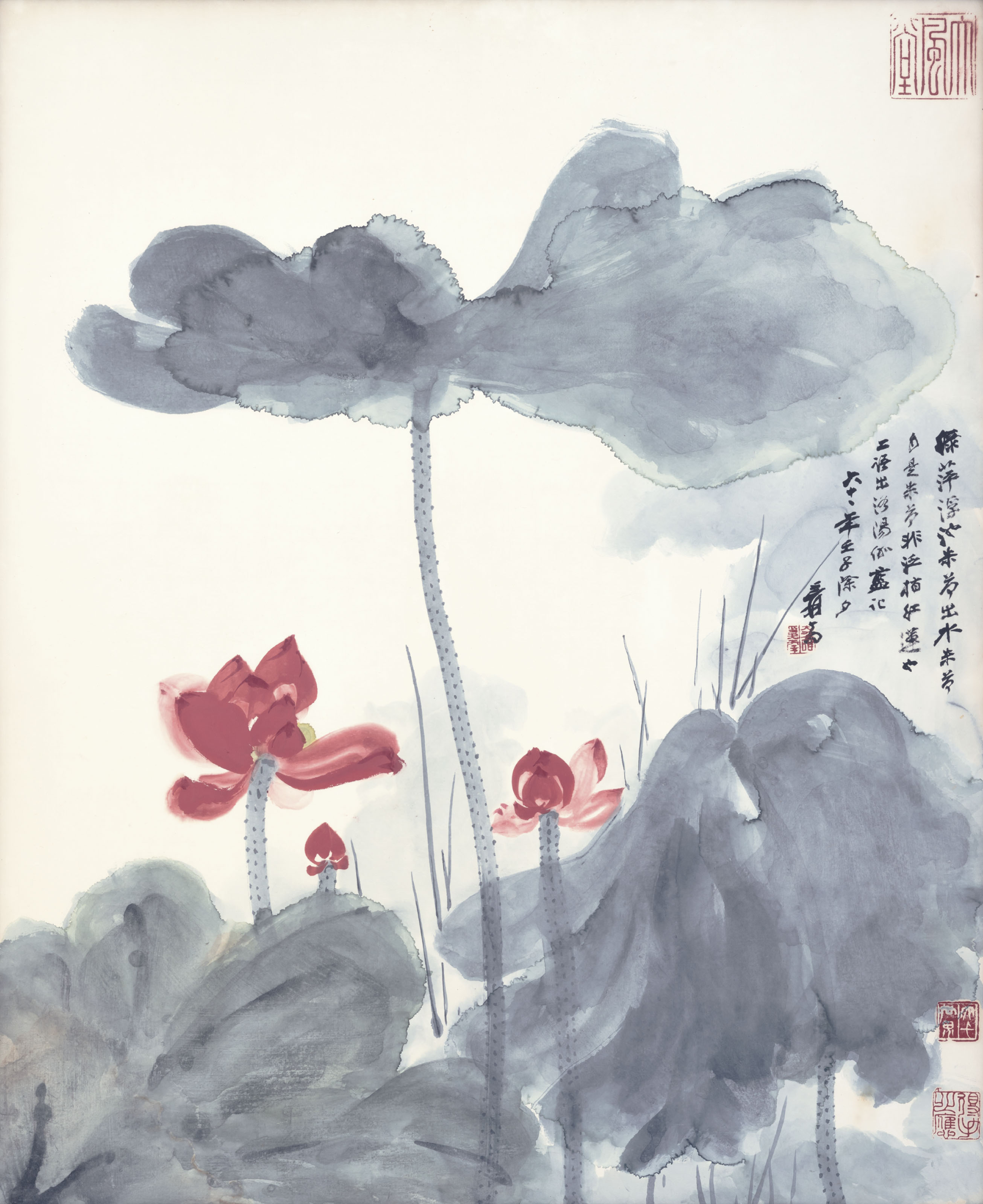 Zhang Daqian — Красный лотос