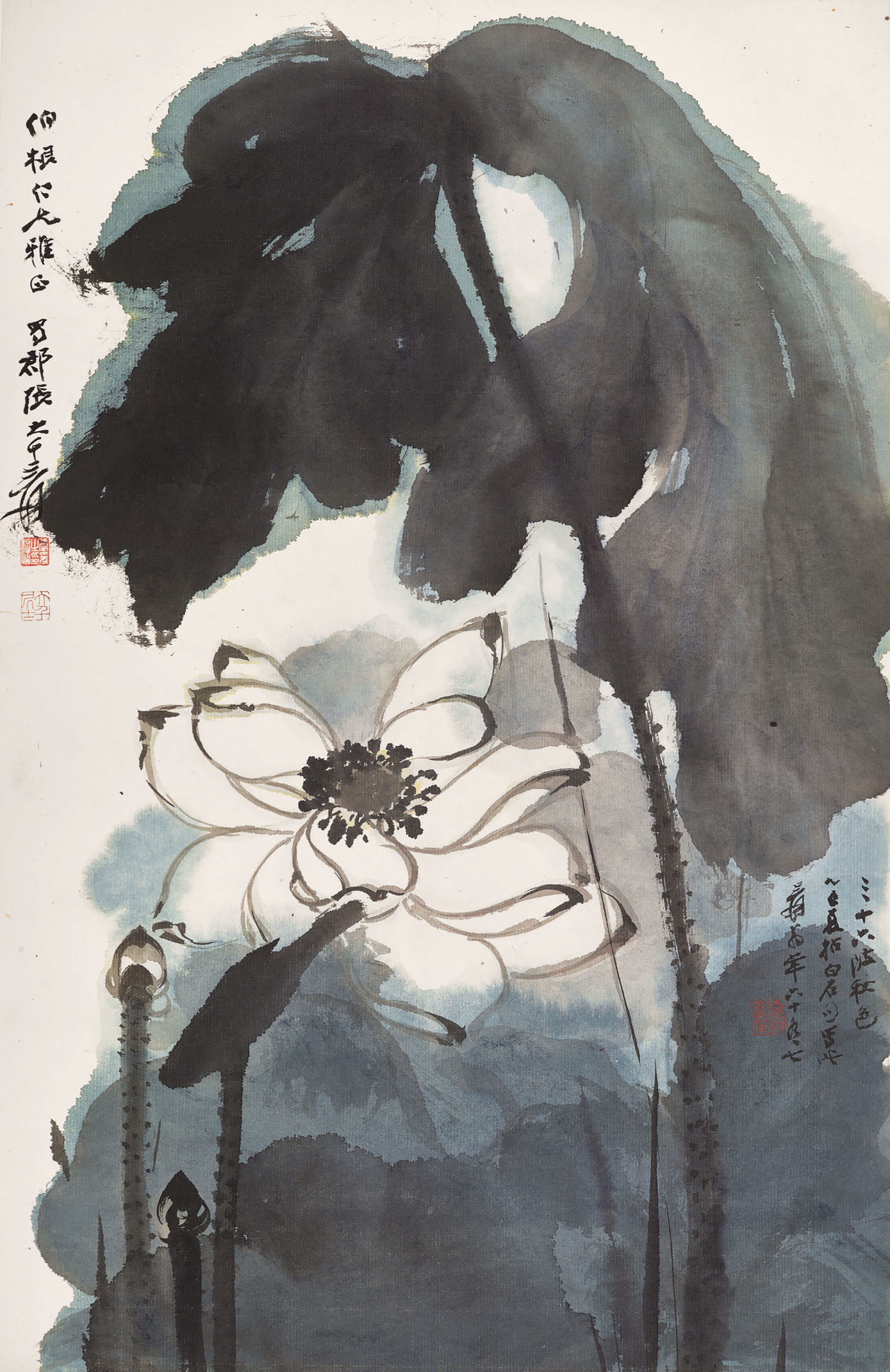 Zhang Daqian — Белый лотос