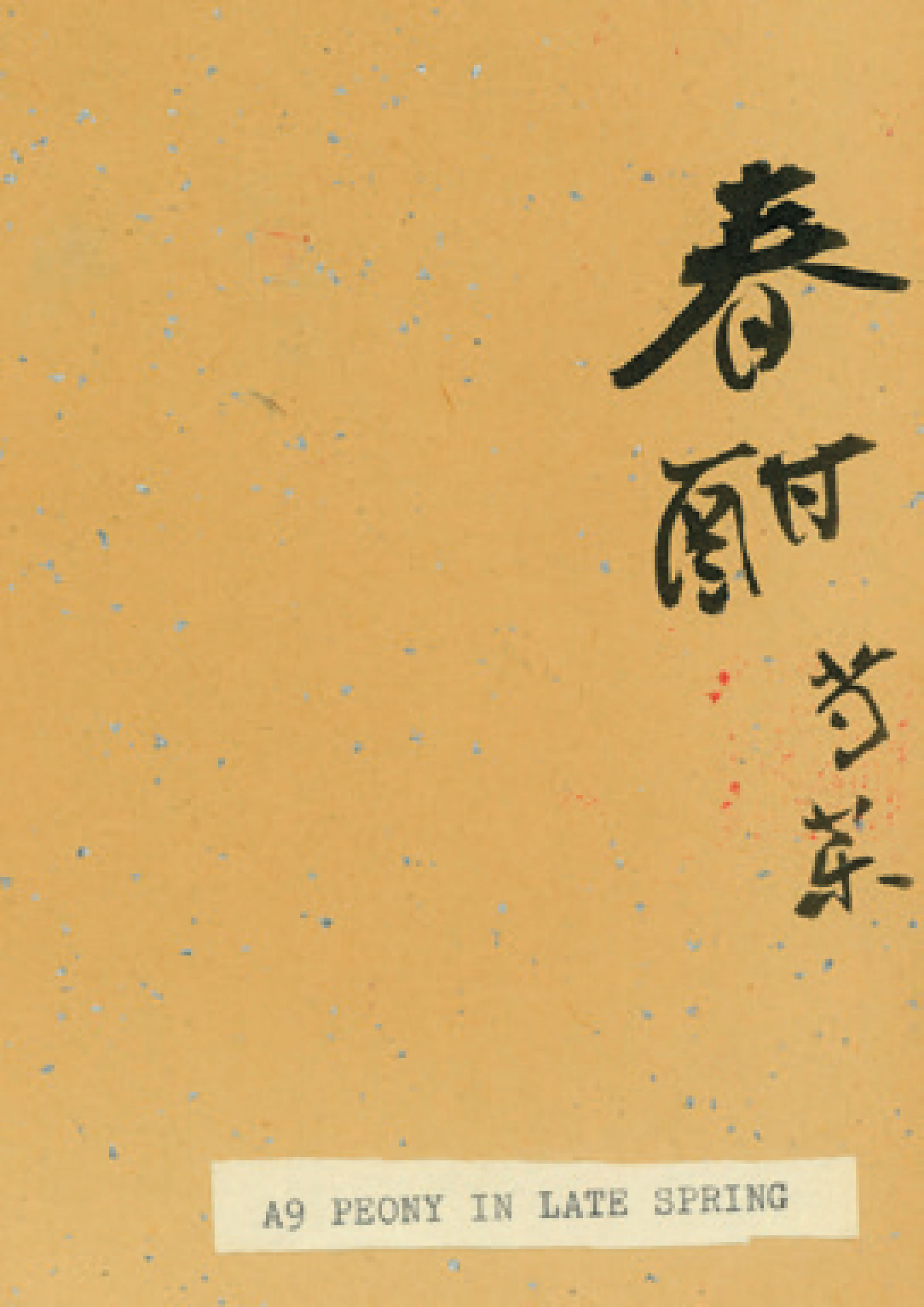 Zhang Daqian — Пион поздней весной, изображение 2