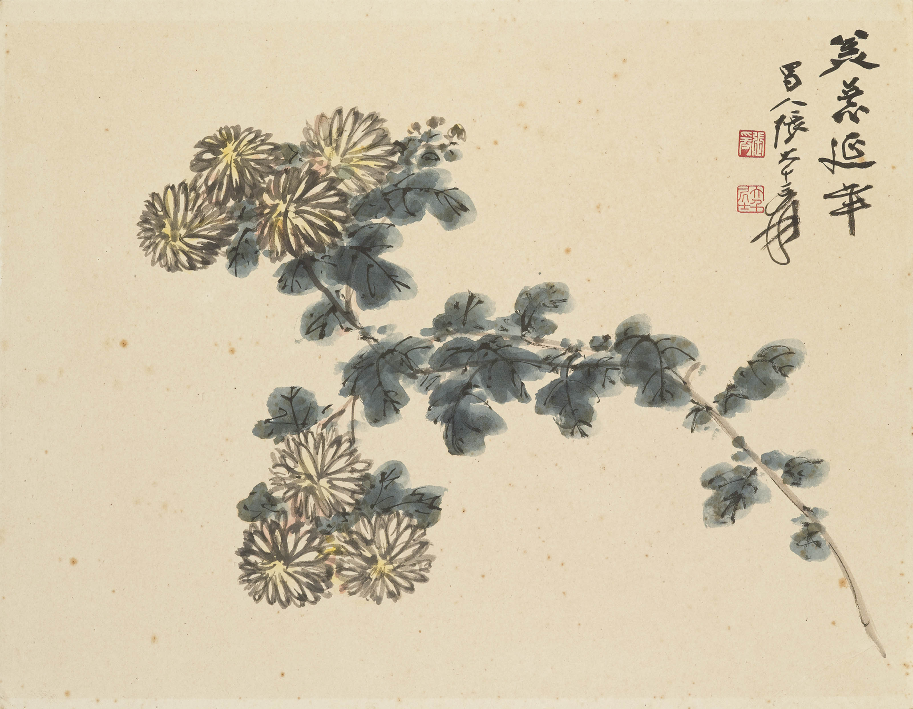 Zhang Daqian — Хризантемы