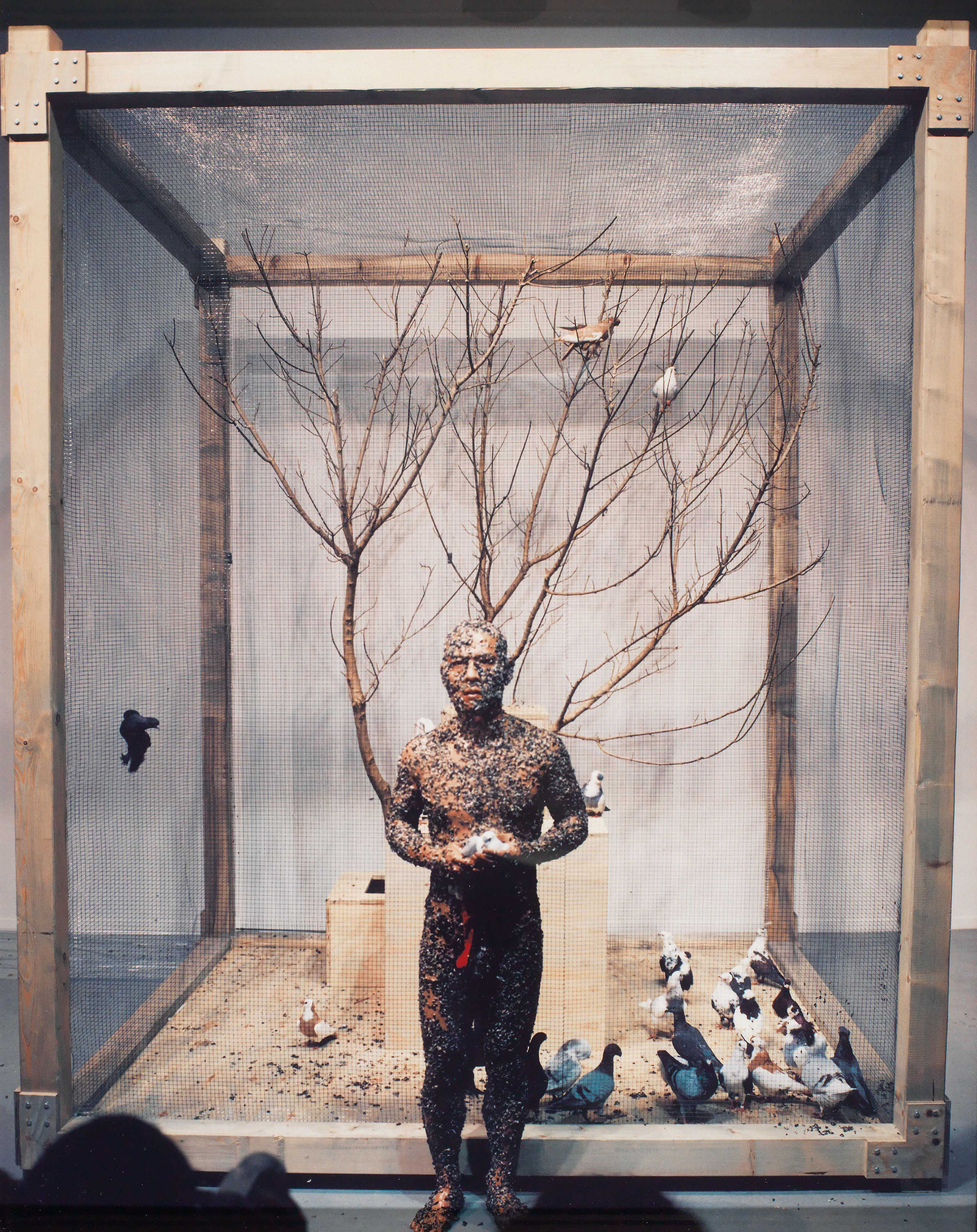 Zhang Huan — Семена Гамбурга, изображение 13
