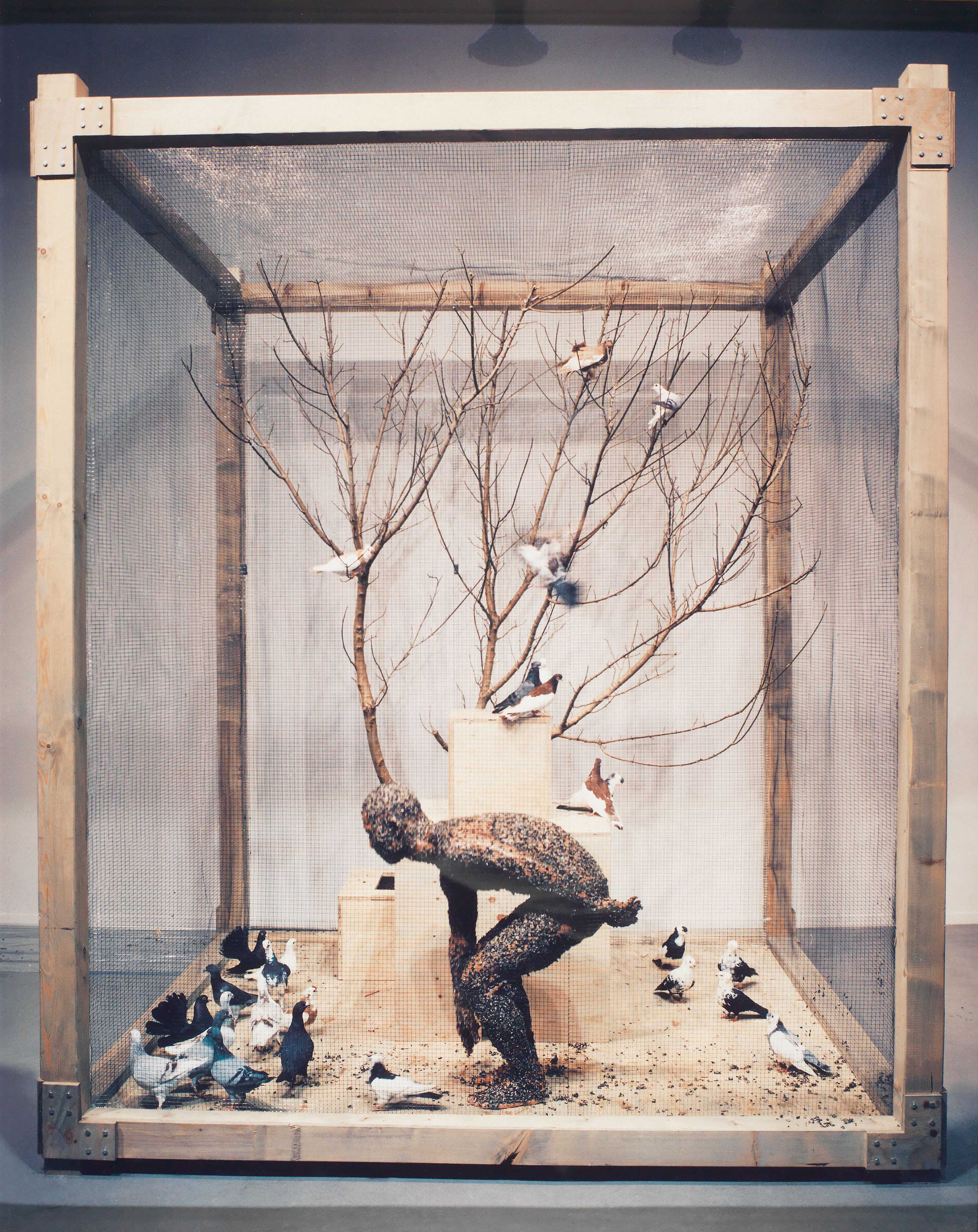Zhang Huan — Семена Гамбурга, изображение 8