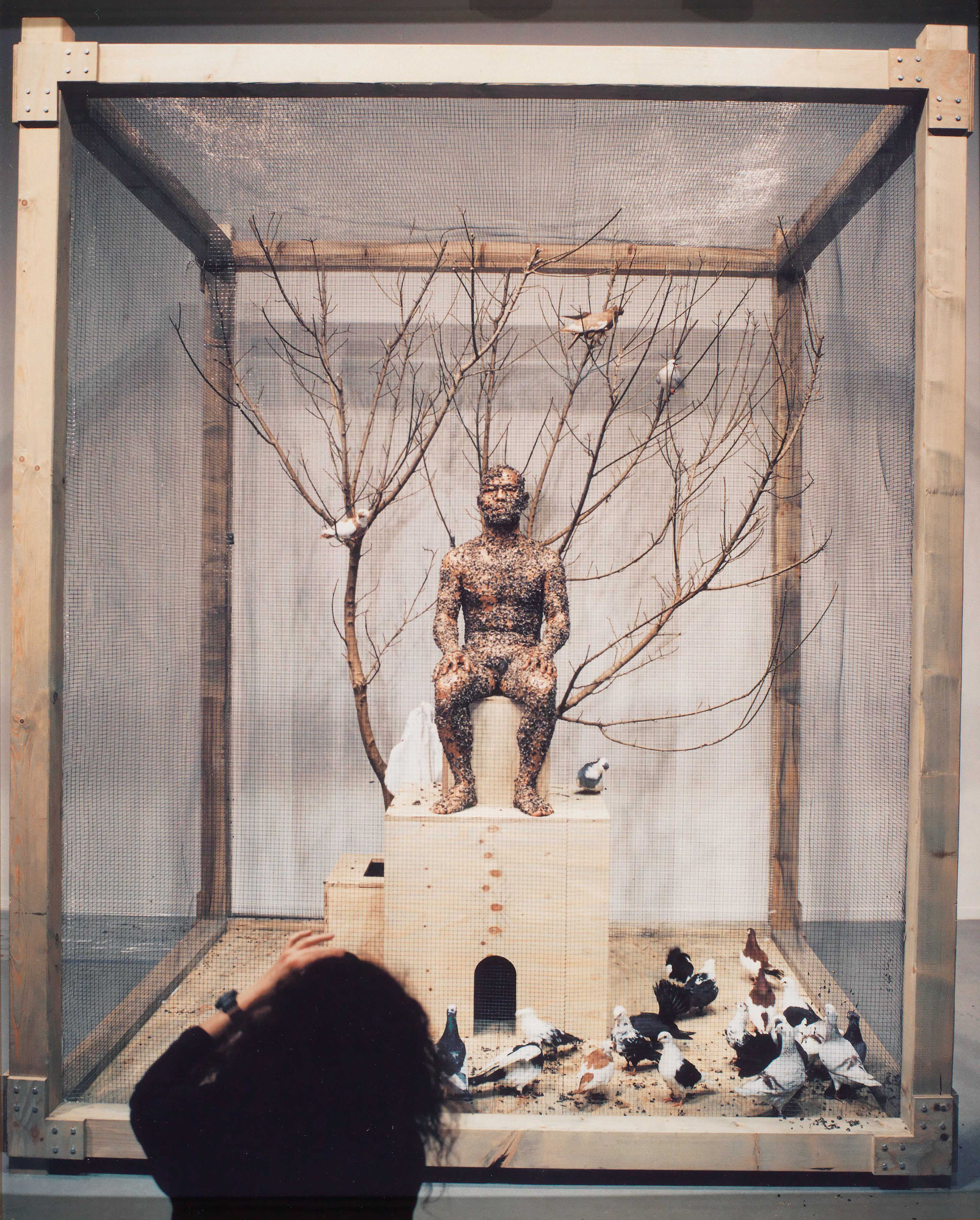 Zhang Huan — Семена Гамбурга, изображение 10