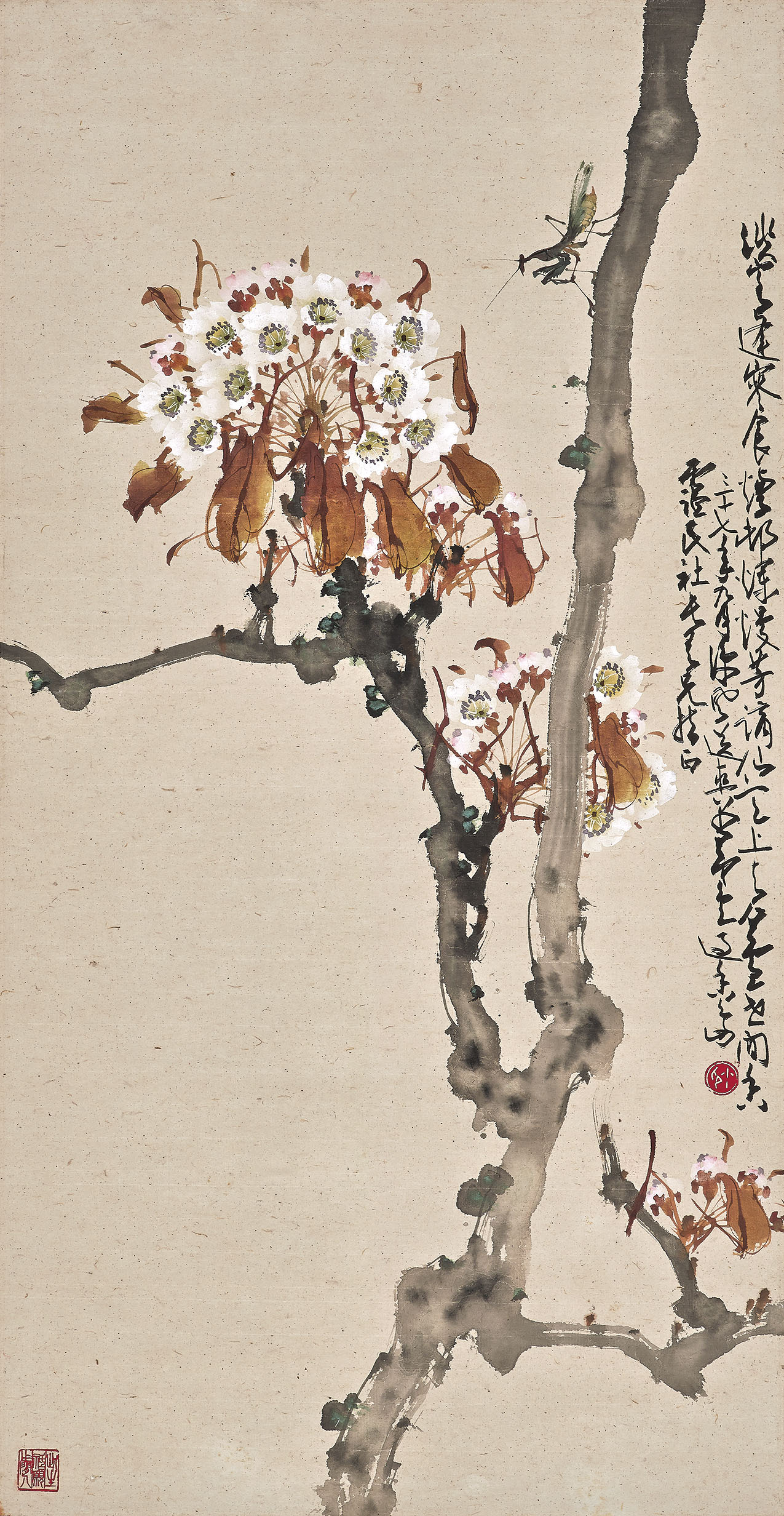 Zhao Shao'ang — Паучья лилия и богомол