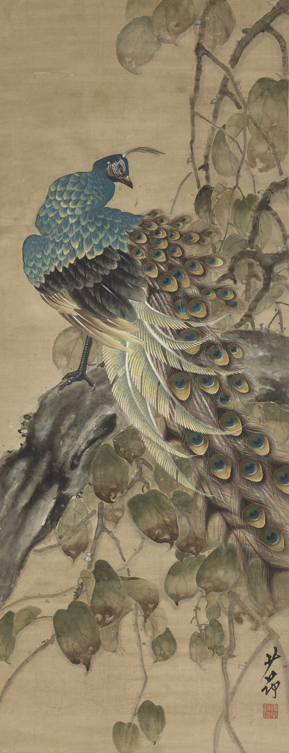 Zhao Shao'ang — Павлин