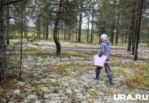 Грибная пора. Чердыньский район