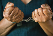 Необычное приключение в Ульяновске: внук и бабушка оказались в плену игры 5fa2f5c2-457d-46b1-8a1b-96a85ddc18b0-674d8d42