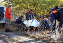 Счастливое спасение: пенсионерка найдена живой после двух дней поисков в лесу 60108864-e4b6-4b27-9cfb-beacdbb7eb00-676c69c1