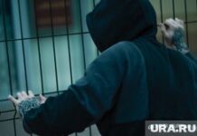 Клипарт на тему «Нож». Пермь