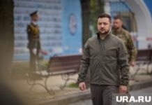 Владимир Зеленский. stock