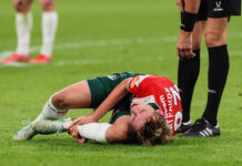 e36436eb-9c13-4f59-aa9a-6fd61a3604e2-67728835