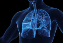 Ключевые признаки и факторы риска хронической обструктивной болезни лёгких 9a49f101-895e-4646-a134-e74f1b098bb2-6790f2fb