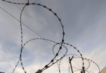 В России вводят новые меры регулирования регистрации индивидуальных предпринимателей 12d28cbf-448c-44ef-a062-e19f965428a1-67c2a4b1