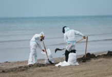 В Анапе организована масштабная очистка побережья от последствий разлива мазута 1ba13565-2bbf-4845-80a8-db77fc65e00c-67c1df4b