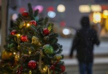 Как безопасно и радостно встретить Новый год: практические советы от ведущих специалистов 28d163e4-31d0-4725-996c-c85c19720cc6-67bdb639