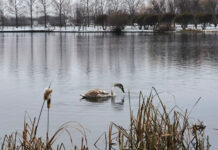 2b54d8bb-867c-4df3-a3c4-fe7b0e08ccf1-67a4d36c