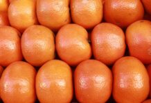 Грузия установила исторический рекорд по экспорту мандаринов в Россию 38ffb94d-b31c-42a0-b21d-cf4fe939afdd-67bedb00