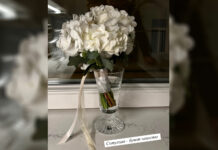 Новый поворот в жизни известной актрисы: счастливый знак для Агаты Муцениеце 6f7eb23c-894e-476f-87b9-881a8a060702-67c44bd0