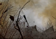 Смертоносный огонь артиллерии: мощный удар по вражескому командованию и укреплениям на Красноармейском направлении 7cf454ab-5188-4f95-a560-9ef03841c53b-67c58d8e