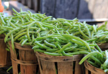 Бобовые признаны идеальным источником растительного белка для здорового питания 973ed3ab-2c30-46b2-89e6-70abb6aaa119-67b2341b