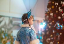 Онищенко рассказал о безопасности новогодних елок для детей a90a31d0-bd15-4f54-a82f-04a79ffdca5a-67bf3390