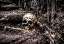 Историческая находка при ремонте музыкальной студии в центре Москвы b1640e39-e030-4181-a80f-b93082472536-67c43369