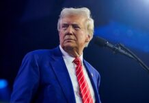 В России оценили шанс на понимание Трампом первопричин конфликта с Украиной c422b321-bb6f-4920-af7c-e1dd41a082f3-67c0726b